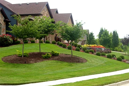 house with healthy green front lawn