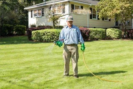 technician spraying lawn for weeds