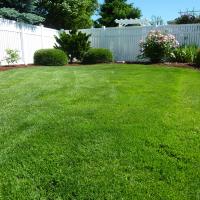 Backyard with Healthy, Green Grass