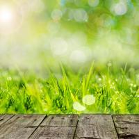 Grass Growing in Front of Porch