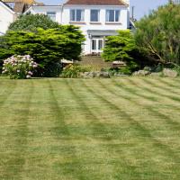 Mown Lawn During Drought in Alamaba