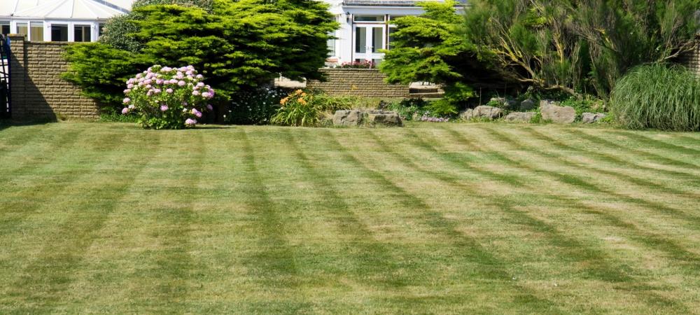 Mown Lawn During Drought in Alamaba